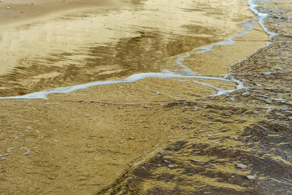 Görüntü, yumuşak dalgaların kumlu bir kıyı şeridini okşayarak berrak mavi suya doğru çaprazlama uzandığı sakin bir kıyı sahnesi yakalıyor. Islak kumda yansımalar derinlik ve görsel ilgi ekler.