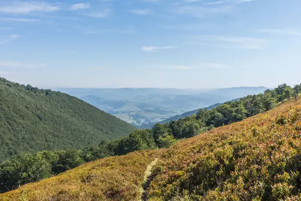 Karpat Dağları 'ndaki Borzhava Vadisi' nin her iki tarafında yemyeşil yamaçlar bulunan görkemli manzarası. Vadi ağaçlar ve çalılarla süslenmiş.