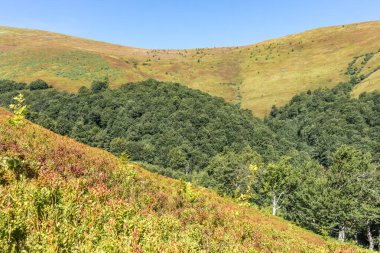 Borzhava yakınlarındaki Karpatlar 'daki dağların üzerinde ufuk çizgisi.
