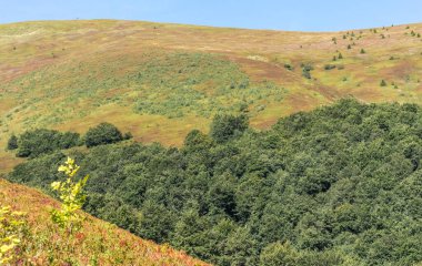 Borzhava yakınlarındaki Karpatlar 'daki dağların üzerinde ufuk çizgisi.
