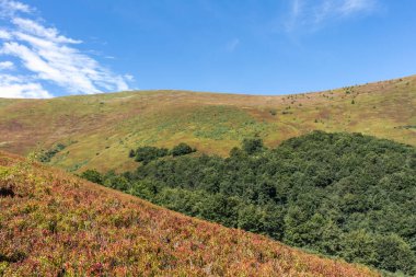 Borzhava yakınlarındaki Karpatlar 'daki dağların üzerinde ufuk çizgisi.