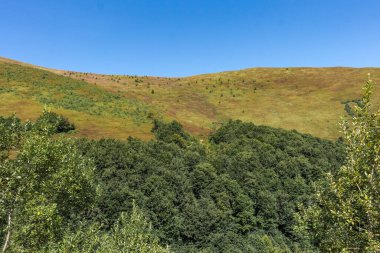Borzhava yakınlarındaki Karpatlar 'daki dağların üzerinde ufuk çizgisi.