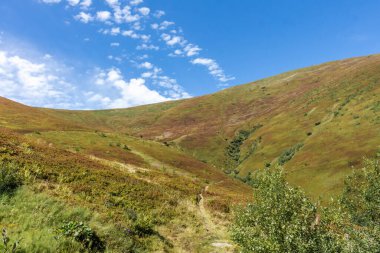 Borzhava yakınlarındaki Karpatlar 'daki dağların üzerinde ufuk çizgisi.