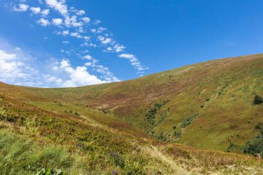 Borzhava yakınlarındaki Karpatlar 'daki dağların üzerinde ufuk çizgisi.