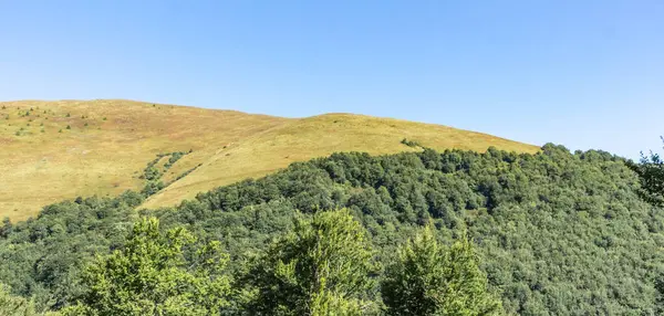 Borzhava dağ vadisi sonbaharın başlarında, Ukrayna Karpatları