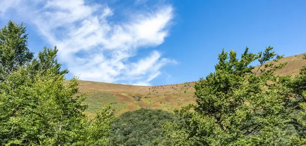 Borzhava dağ vadisi sonbaharın başlarında, Ukrayna Karpatları
