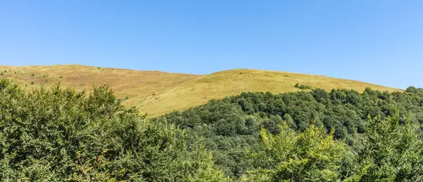 Borzhava dağ vadisi sonbaharın başlarında, Ukrayna Karpatları