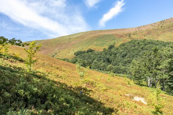 Borzhava dağ vadisi sonbaharın başlarında, Ukrayna Karpatları