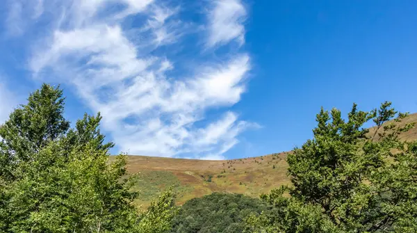 Borzhava dağ vadisi sonbaharın başlarında, Ukrayna Karpatları
