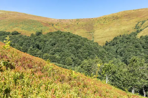 Borzhava yakınlarındaki Karpatlar 'daki dağların üzerinde ufuk çizgisi.