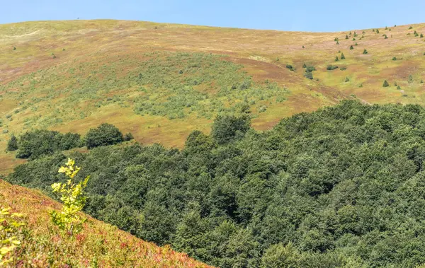 Borzhava yakınlarındaki Karpatlar 'daki dağların üzerinde ufuk çizgisi.
