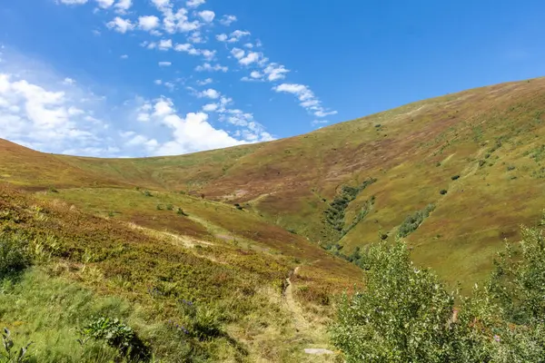 Borzhava yakınlarındaki Karpatlar 'daki dağların üzerinde ufuk çizgisi.