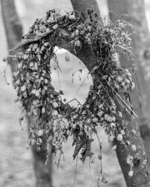 Kırsal, el yapımı çelenk, doğal malzemelerden yapılmış, bir miras ve mevsimsel güzellik duygusunu somutlaştırıyor, sonbahar, kış veya kalpten gelen anılar için mükemmel.