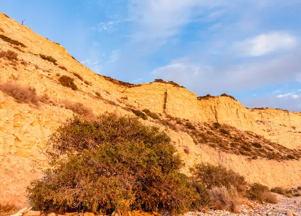 Altın uçurumlar, huzurlu bir mavi gökyüzüne karşı yükseliyor. Huzurlu bir izolasyon ve doğal güzellik hissi uyandırıyor. Seyahat broşürleri ya da çevresel farkındalık kampanyaları için mükemmel.