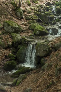 Karpatlar 'daki dağ deresi ve küçük bir su falı.