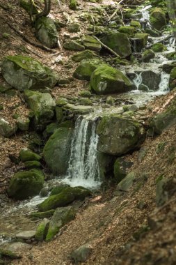 Karpatlar 'daki dağ deresi ve küçük bir su falı.