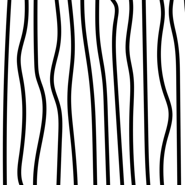 seamless black and white pattern. vector background.