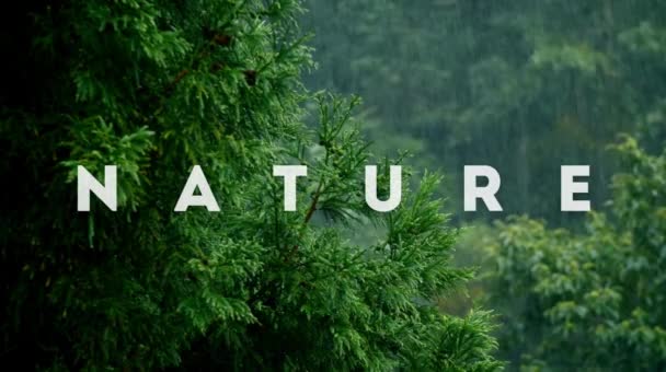 Fondo Naturaleza Verde Con Palabra Naturaleza Bosque Borroso — Vídeos de Stock