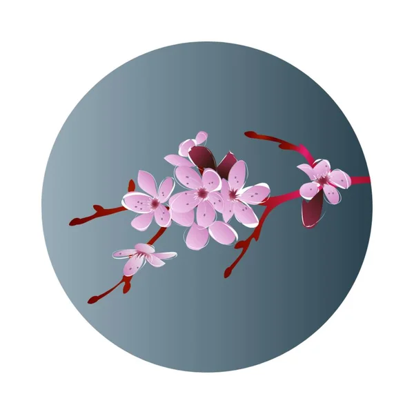 sakura flower icon vector design