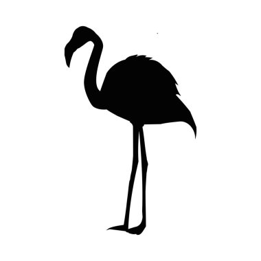 Siyah beyaz bir flamingo silueti.