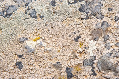 Kaya dokusu pürüzsüz, taş yüzeyler pürüzsüz.