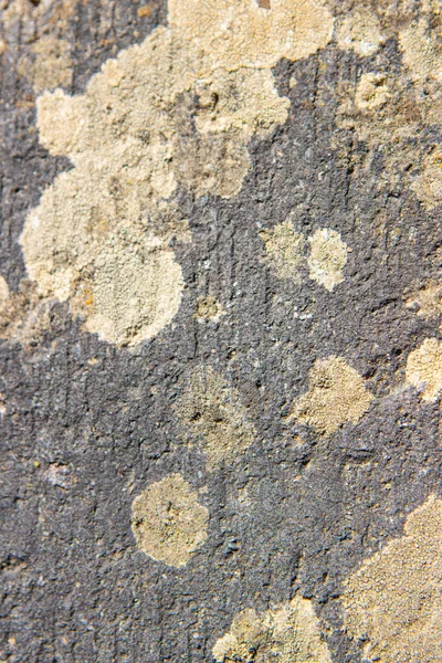 Textura Piedra Áspera Superficies Piedra Textura Sin Costuras —  Fotos de Stock