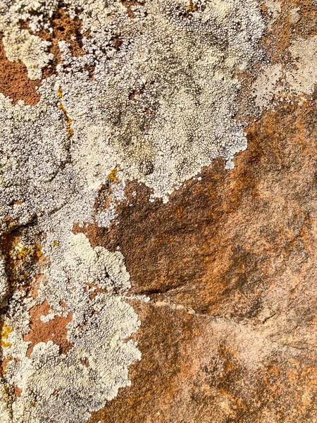Rohsteinstruktur Steinoberflächen Nahtlose Textur — Stockfoto