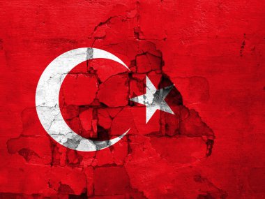Hindideki depremler, duvardaki bayrak hindi ve deprem çatlakları.