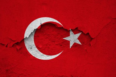 Hindideki depremler, duvardaki bayrak hindi ve deprem çatlakları.