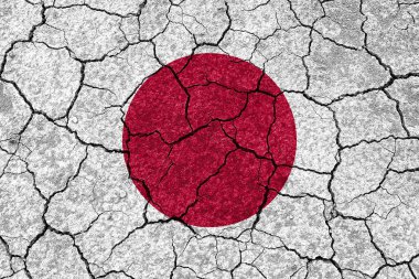 Japonya 'daki depremler, Japonya' yı deprem çatlaklarıyla dolu bir duvarda durdurdu.
