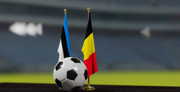 Uefa Euro 2024 Voetbal Estland België Europees Kampioenschap Kwalificatie Estland — Stockfoto