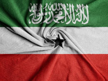 Somaliland Kumaş Bayrağı, Somaliland Ulusal Bayrağı