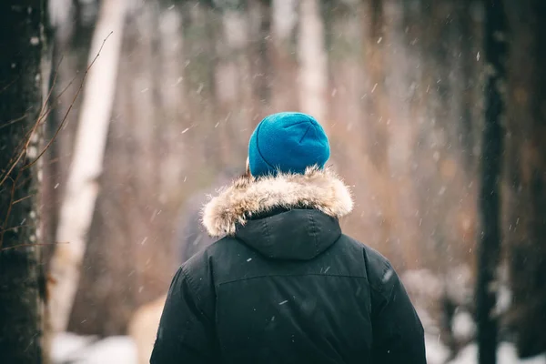 stock image Young man in winter jacket and blue cap walking in snowy forest. View from the back.