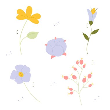 El çiziminin çiçek koleksiyonu. 