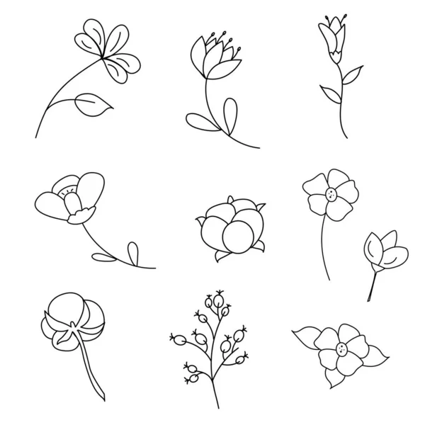 Blommig Handritad Kollektion För Avdelare Och Ram Prydnad Handritning Blommor — Stock vektor