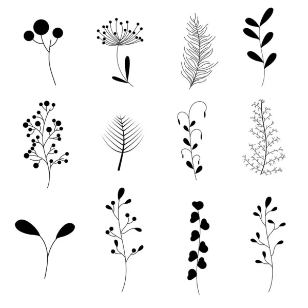 植物コレクション手描きシルエット 花の手描きアウトライン — ストックベクタ