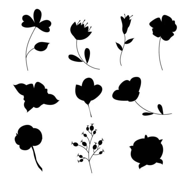 Blomma Samling Handritad Siluett Handritning Blommor — Stock vektor