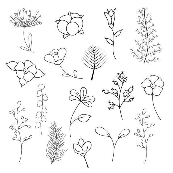 Σύνολο Φυτών Και Λουλουδιών Περίγραμμα Διάνυσμα — Διανυσματικό Αρχείο
