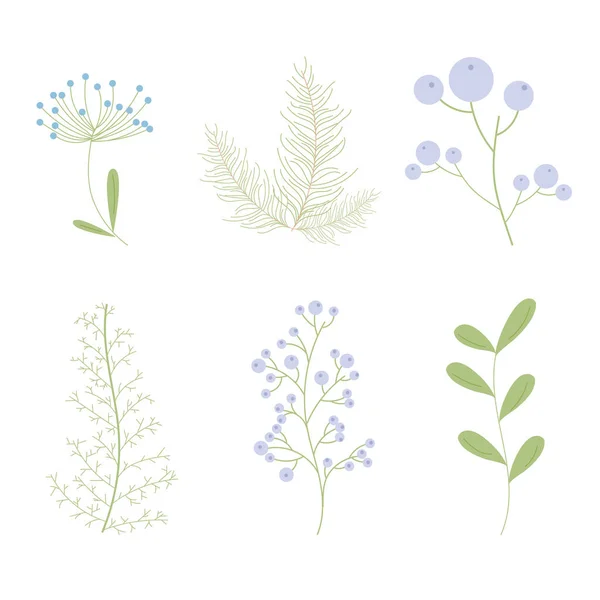 Växtsamling Handritning Handritning Blommor — Stock vektor