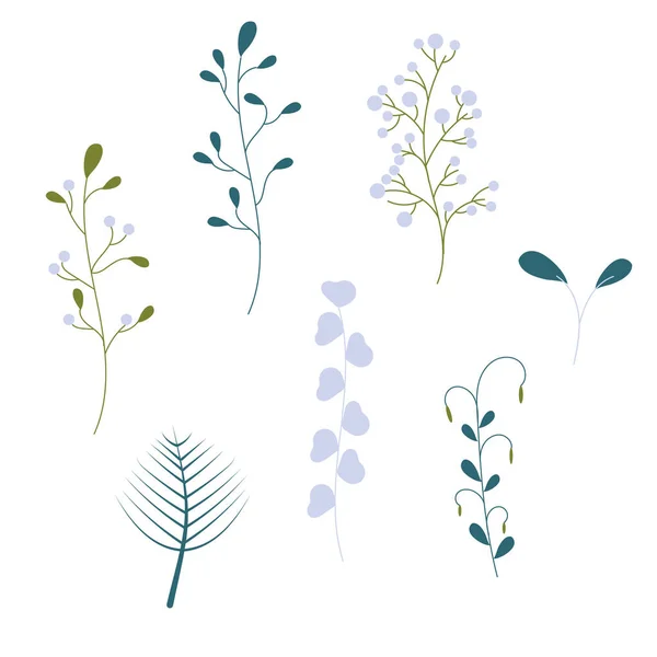 Handritad Växtsamling Pastellfärg — Stock vektor