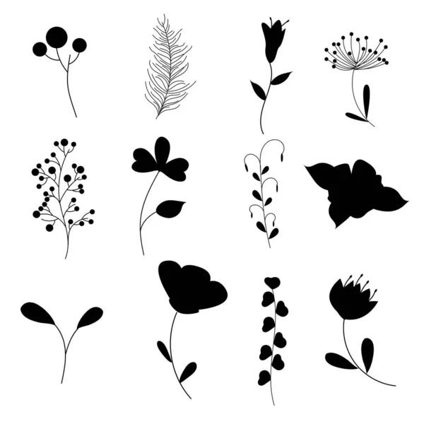Uppsättning Växter Och Blommor Siluett Vektor — Stock vektor