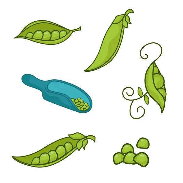 一套不同的绿豆 豆科植物的世界 — 图库矢量图片