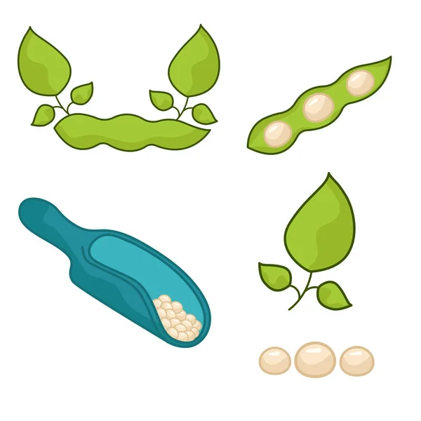 一套不同的大豆 豆科植物的世界 — 图库矢量图片
