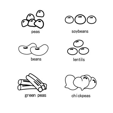 Bir dizi baklagil taslağı. Bezelyeli fasulye mercimek mercimek nohut taze fasulye