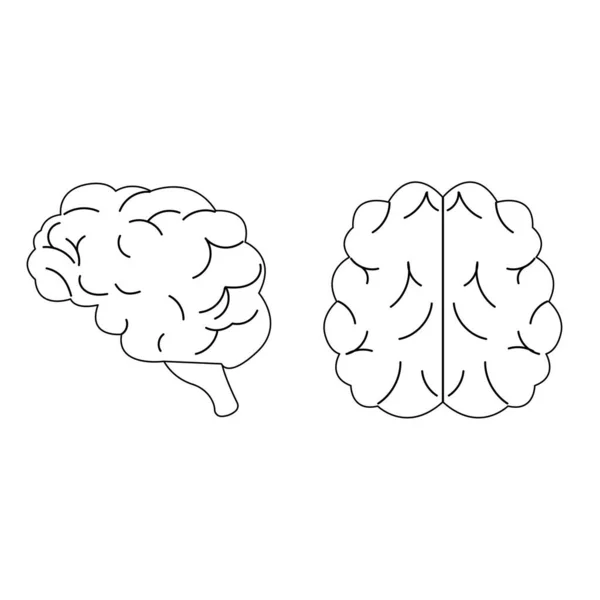 Side Top View Outline Brain Flat Style — Stock Vector