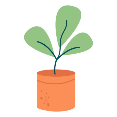 Tencerede çevre dostu bir bitki.