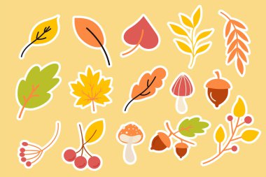 Sonbahar çıkartmaları orman elementleri koleksiyonu. Orman ormanı