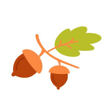 Meşe palamudu ve yapraklı meşe dalı. Sonbahar orman vektör elementi