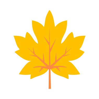 Sarı akçaağaç yaprağı. Sonbahar yeşillik vektör çizimi. İzole öge