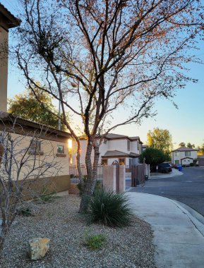 Golden evening light shines thru houses illuminating electric garland bulbs in the tree forcing them sparkle in beautiful colors; back-lit shot